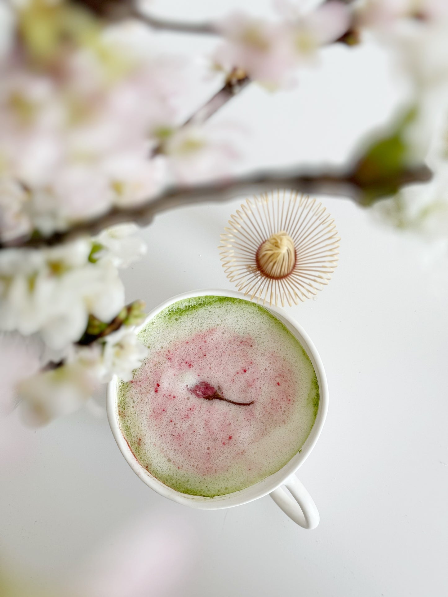 Sakura Cherry Blossom Chasen