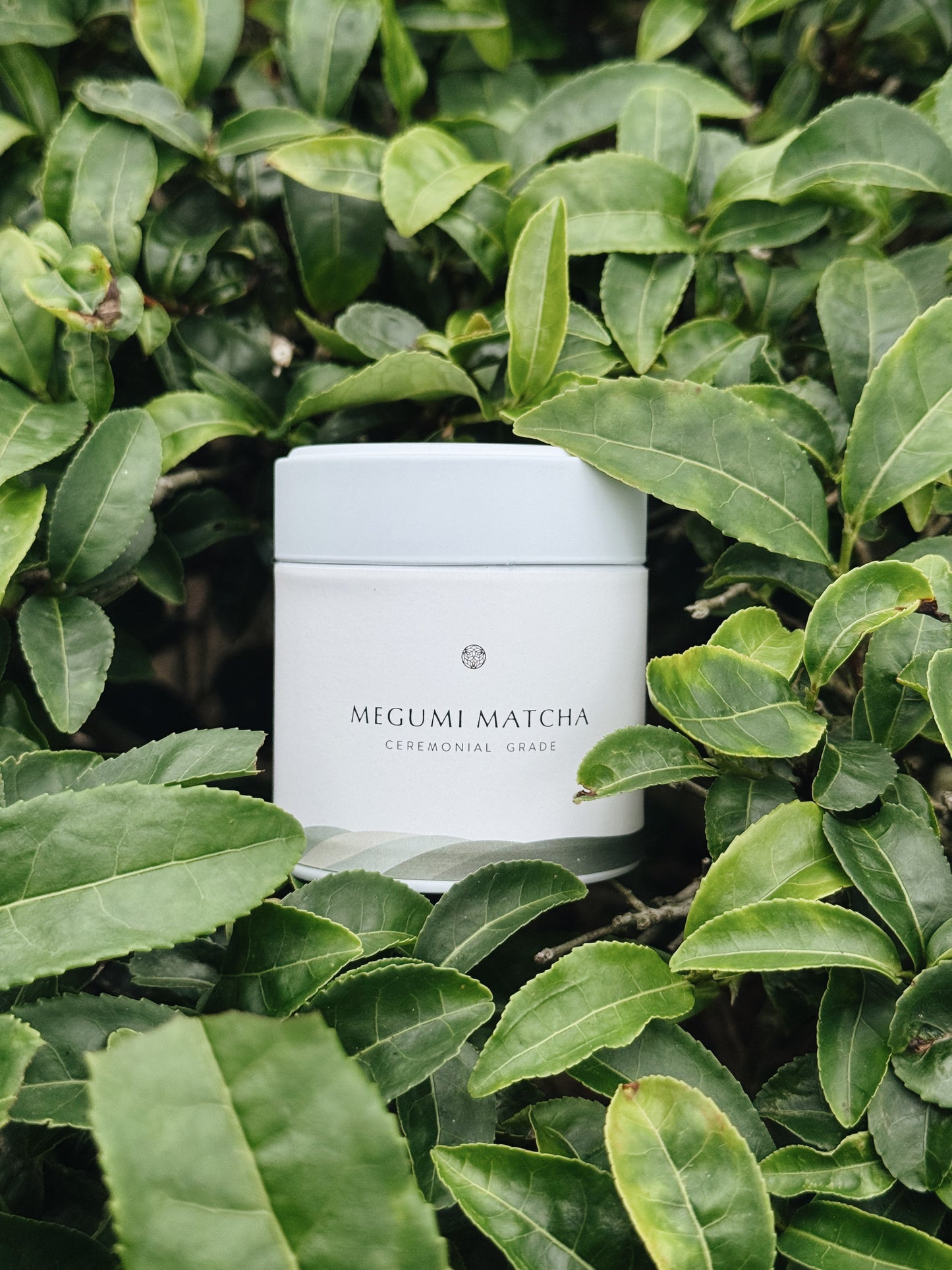 Ceremonial Grade Matcha
