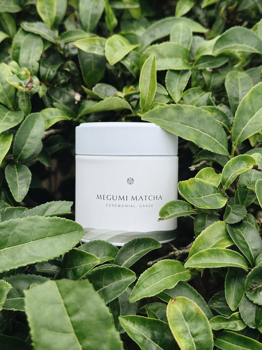 Ceremonial Grade Matcha