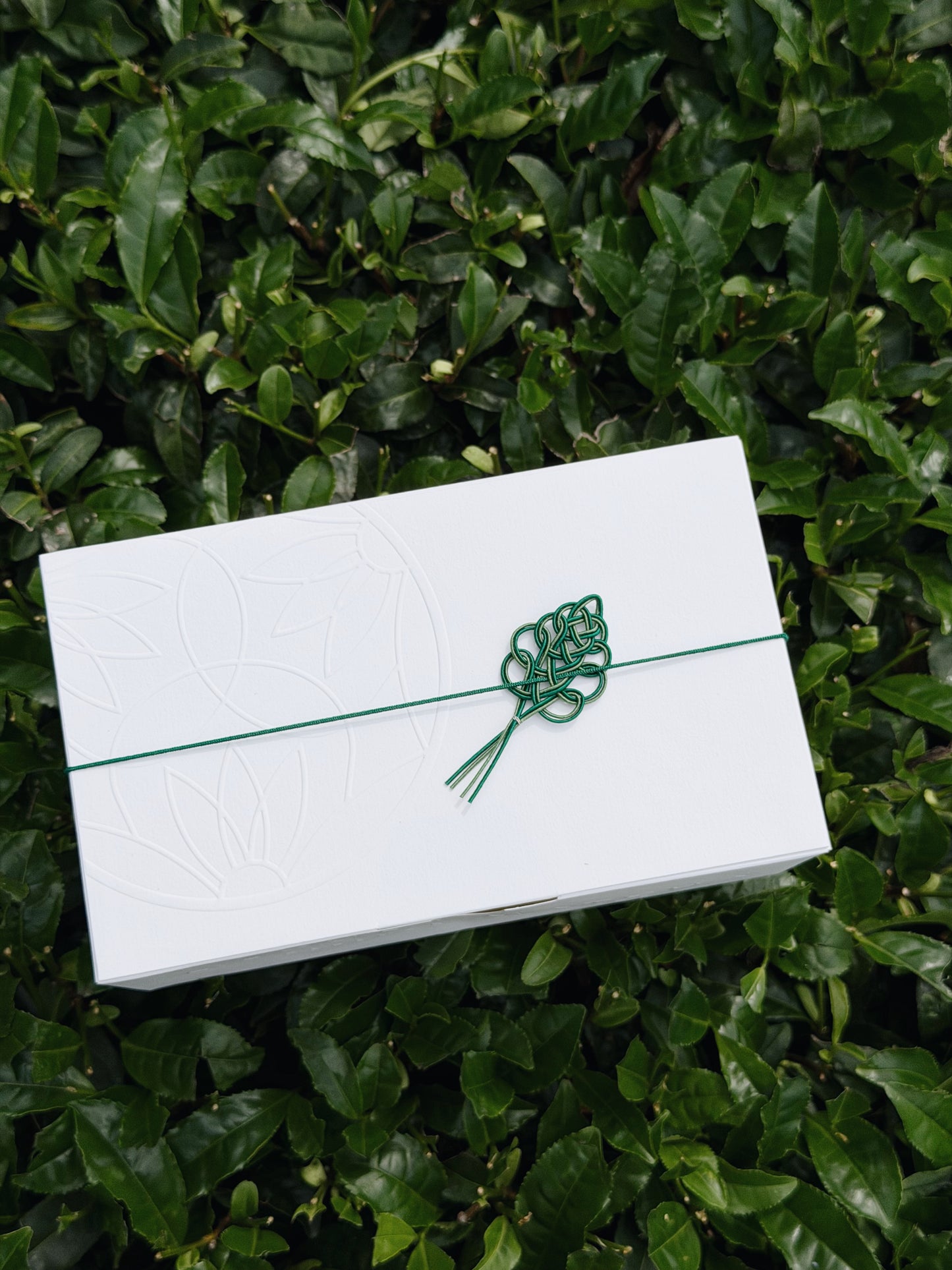 MEGUMI MATCHA Gift Set