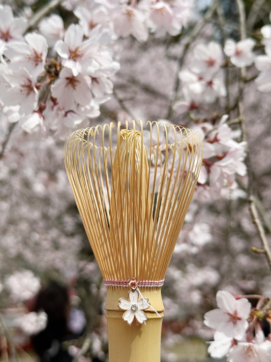 Sakura Cherry Blossom Chasen